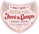 Juve & Camps Cava Brut Pinot Noir Rose