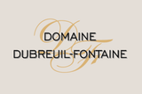 Domaine Dubreuil-Fontaine Savigny Les Beaune Les Vergelesse 1er Cru 2013