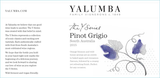 Yalumba The Y Series Pinot Grigio South Australia