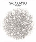 Vinessens - Casa Balaguer Malvasia Salicornio White Alicante