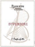 Buglioni Valpolicella Superiore Classico l'Imperfetto 2019