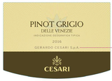 Cesari Pinot Grigio Delle Venezie